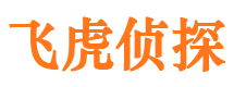 龙泉侦探公司